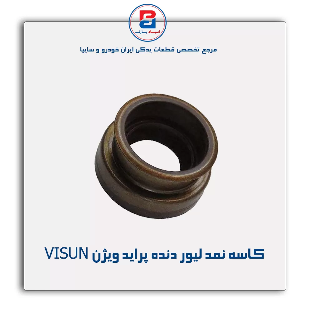 کاسه نمد لیور دنده پراید ویژن VISUN