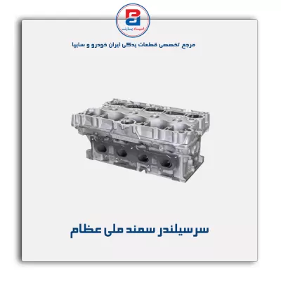 سرسیلندر سمند ملی عظام