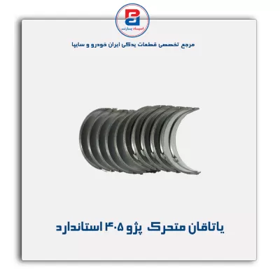 یاتاقان متحرک  پژو 405 IBBC
