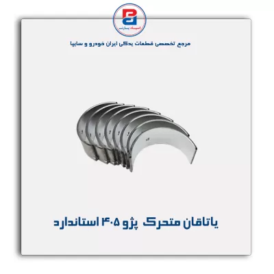 یاتاقان متحرک  پژو 405 گلدن